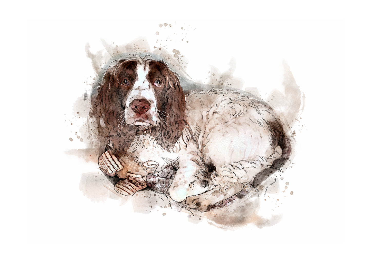 Personalised Pet Portrait