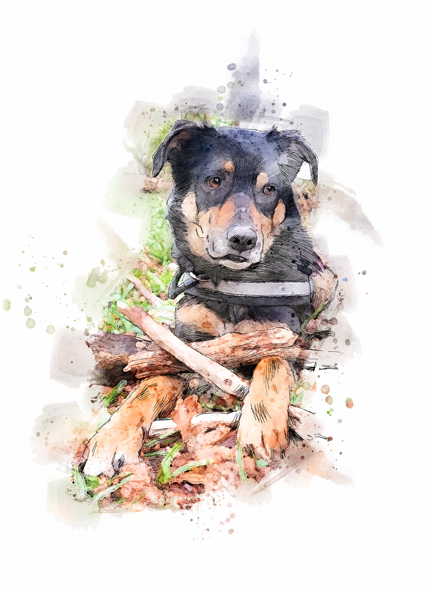 Personalised Pet Portrait