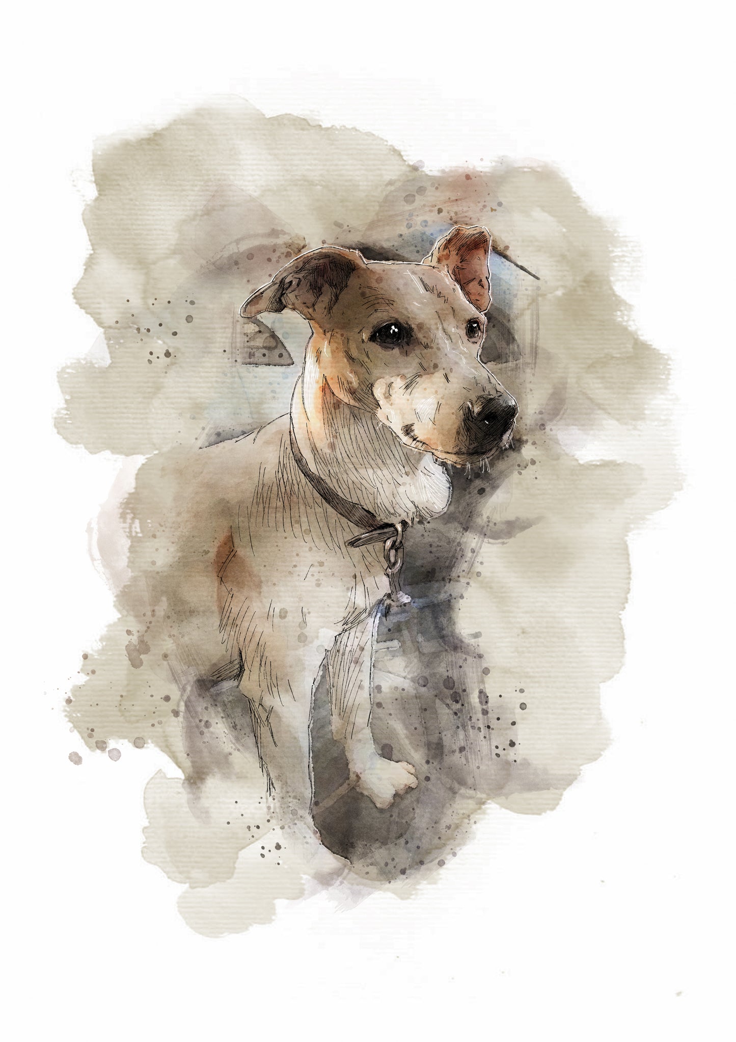 Personalised Pet Portrait