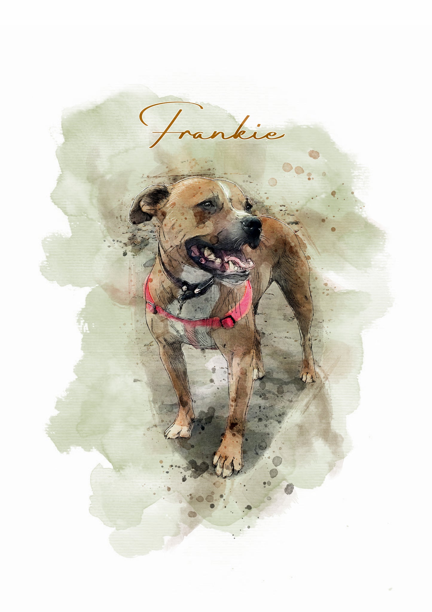 Personalised Pet Portrait