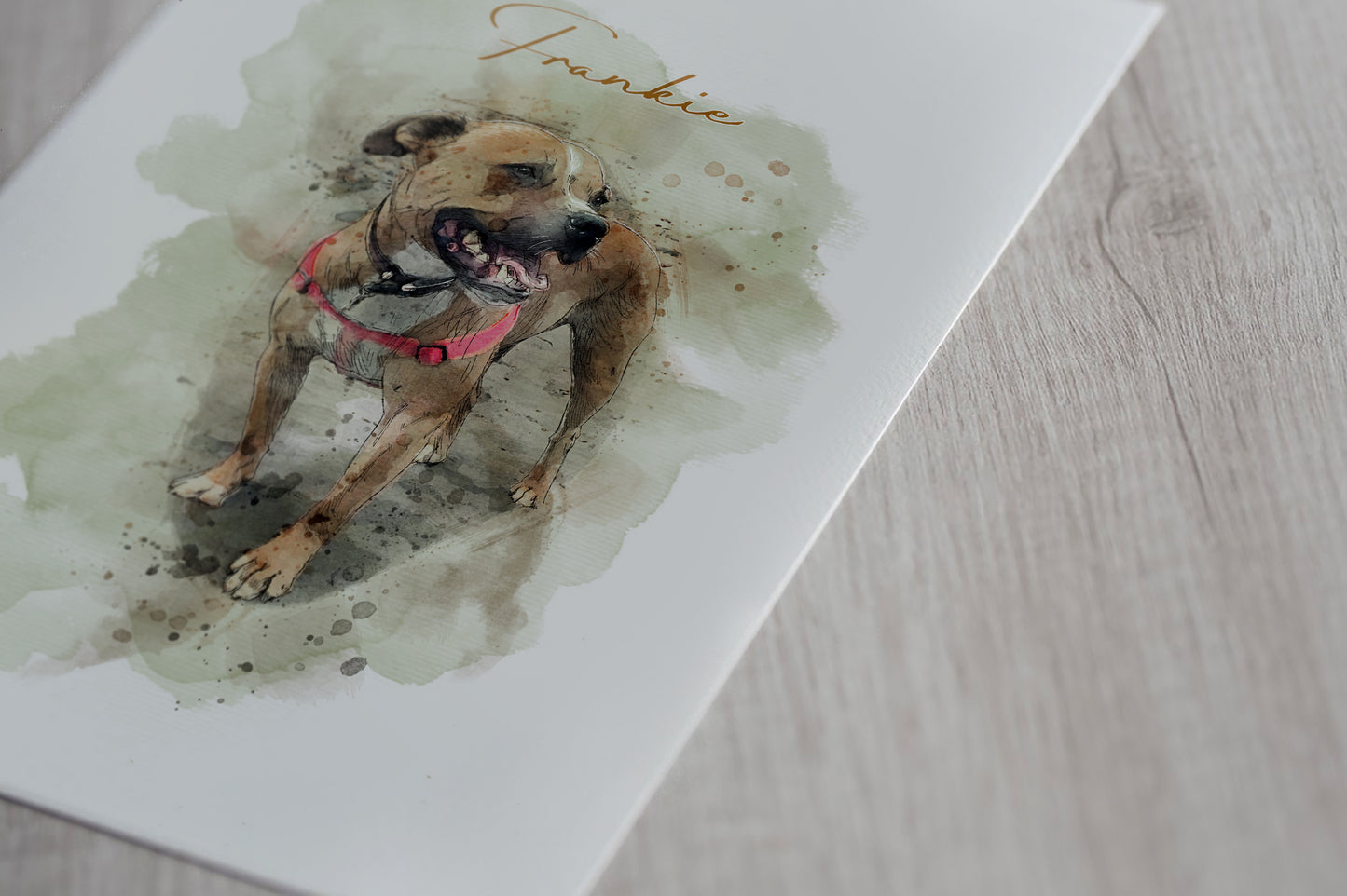 Personalised Pet Portrait