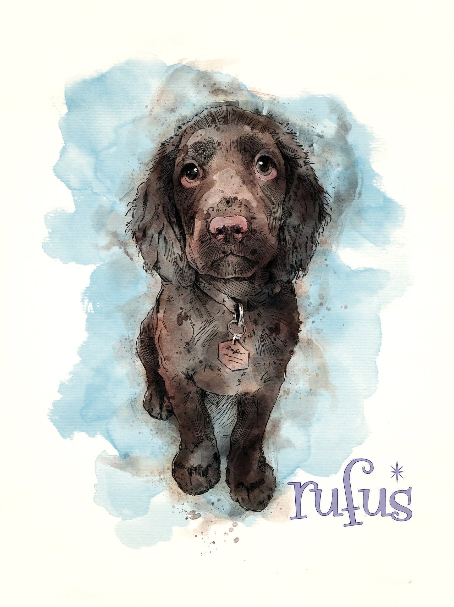 Personalised Pet Portrait