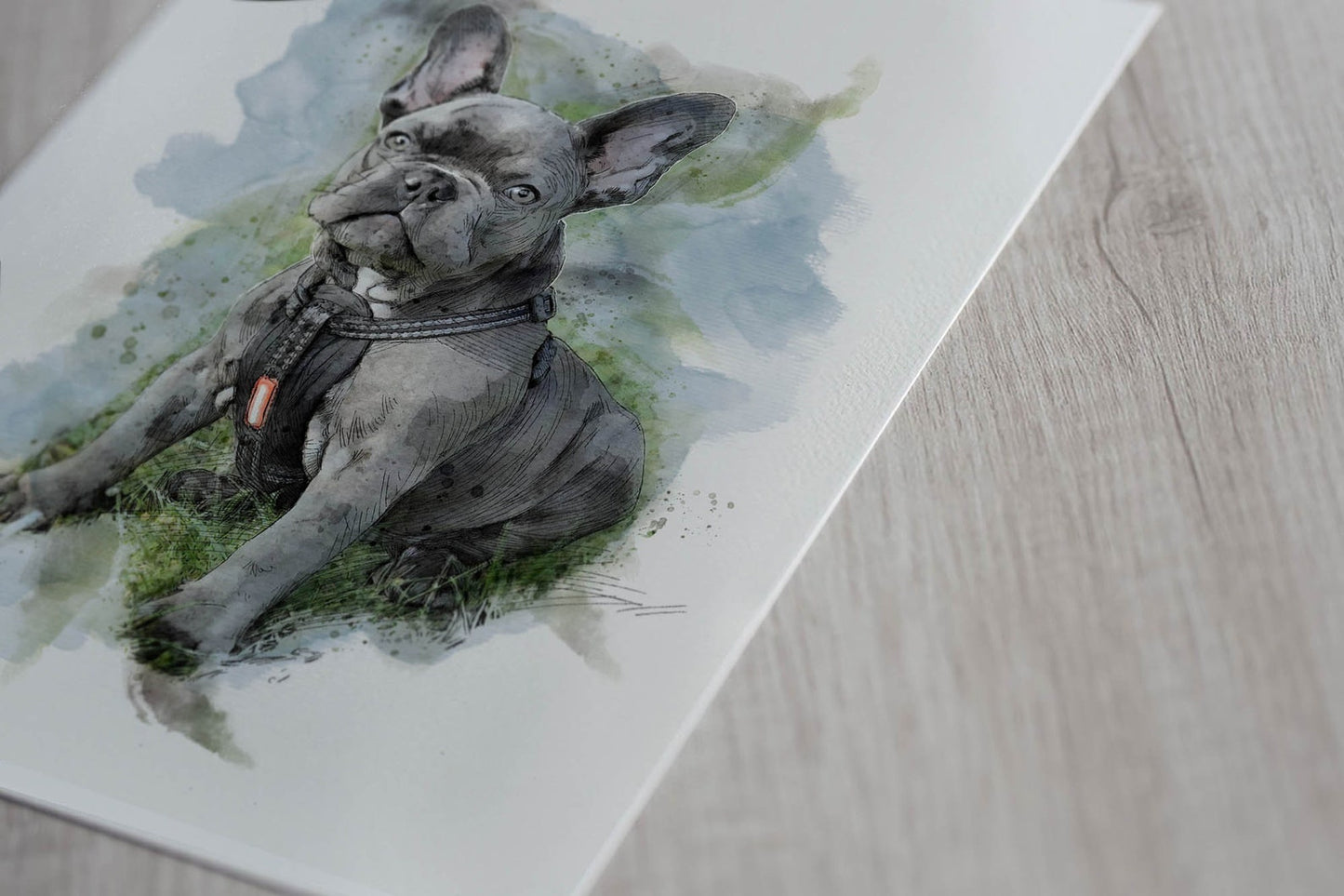 Personalised Pet Portrait