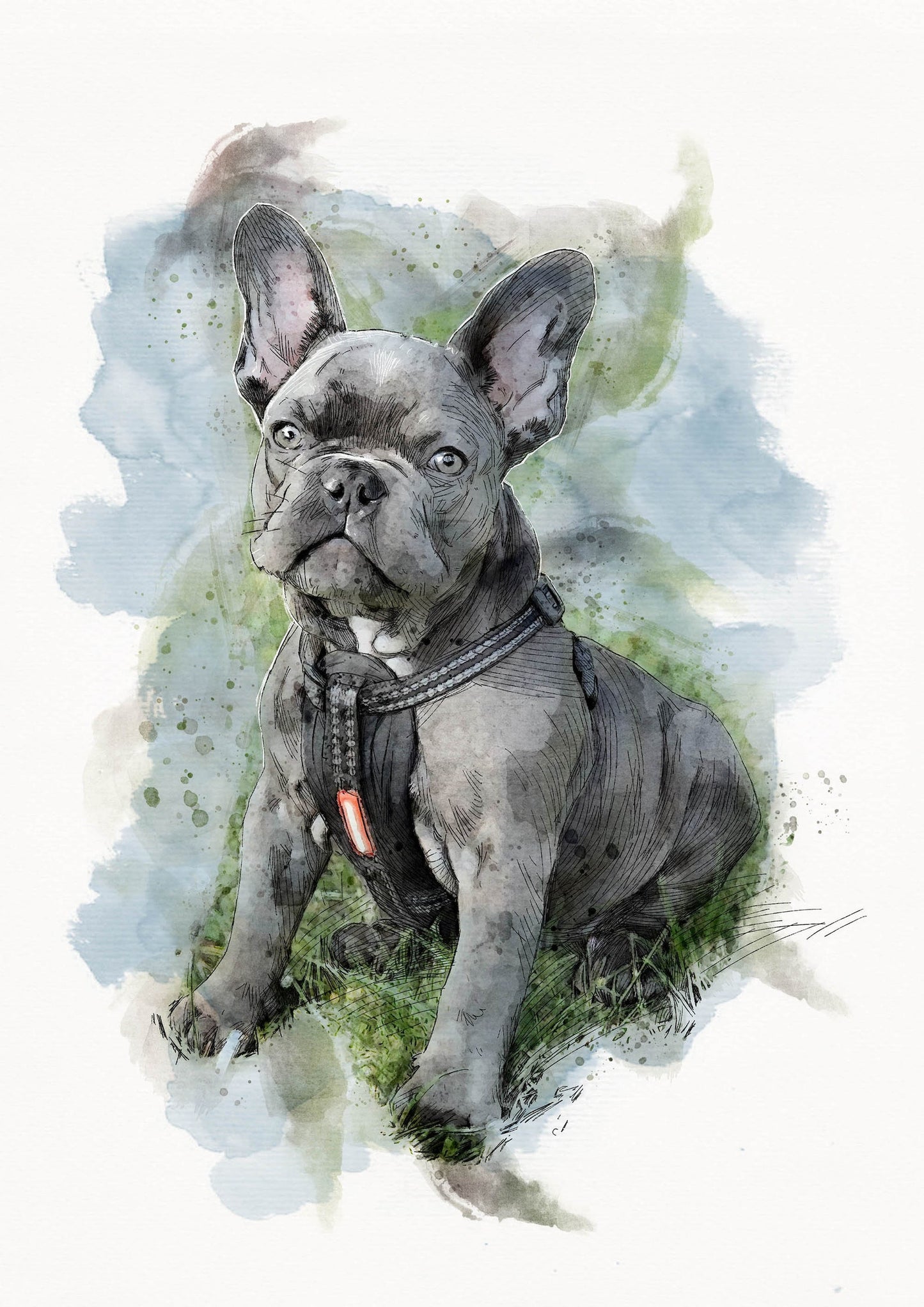 Personalised Pet Portrait